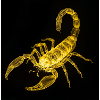 Neonskorpion bei Nacht