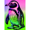 pingouin