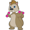 Squirrel Bodybuilder Dumbbells Bodybuilding