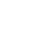 Diagonal Square Lattice