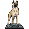 Anatolian Shepherd Dog on Protective Rock