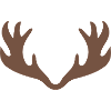 Antlers