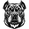 American Bulldog