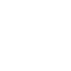 Original German Badge