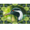 Kaléidoscope