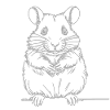 Cute hamster