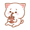 Katze & Shake