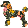 Blumenpudel Hunde Silhouette