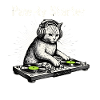 Paw-ty Starter DJ Cat