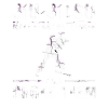 Jiu Jitsu Les Étrangle