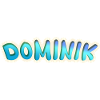 Beruf Dominik
