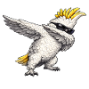 Dabbing Cockatoo