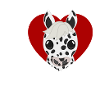 I love Knabstrupper