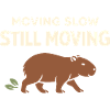 Cute Capybara Stress Reliever, No Stress,