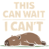 Niedlicher Capybara-stressabbau, Kein Stress,