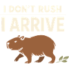 Cute Capybara Stress Reliever, No Stress,