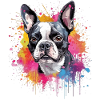 Bunte Splash Art Boston Terrier Hund