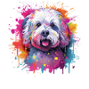 Bunter Bichon Fris Splash Art Hund