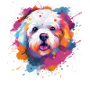 Bichon Fris Bunte Hundesplash-Kunst