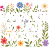 Radicalized Basic Decency Human Rights Kindness