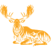 Elk