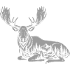 Élan