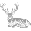 Cerf