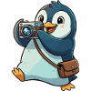 Penguin Photography Adventure