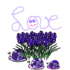 Lavender Snails Garden Hobby Gardener