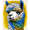 Alpaca