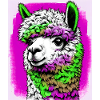 Alpaca