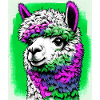 Alpaca