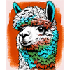 Alpaca