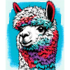 Alpaca