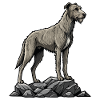 Irish Wolfhound Dog on Rock