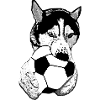 Husky with ball