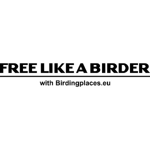 Free like a birder with Birdingplaces.eu