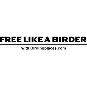 Free like a birder with Birdingplaces.com