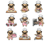Drôle de Pug Baecker, pâtissier