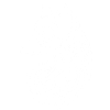 White Celtic Fox