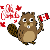 Oh Canada Beaver Flag Bear