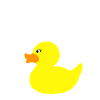 Today Is My Ducky Day