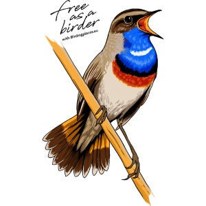 Birdingplaces Bluethroat Free like a birder I