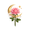 Moon Rose Magic