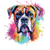 Vivid Boxer Dog Porträt-Splash