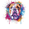 Bunte Bulldog-Hunde-Splash-Art