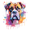 Boxer Bunte Hund Splash Art