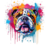 Bunte Hunde-Spritzkunst-Bulldogge