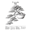 Bonsai Cascade Style with Japanese Characters