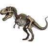 T-Rex Skeleton Dinosaur